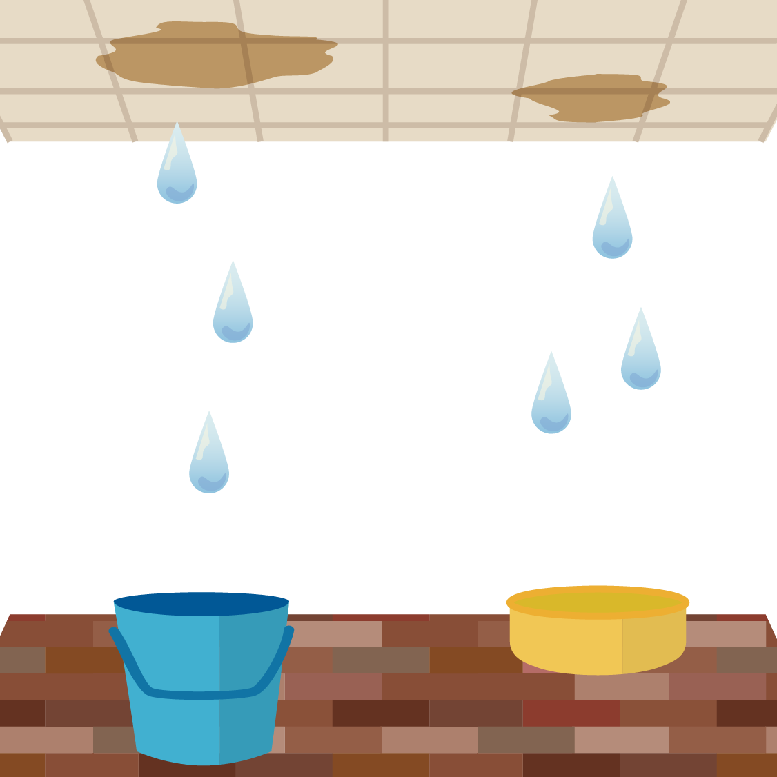 雨漏り
